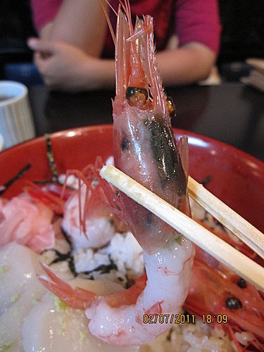 Japan 2011 4e.jpg