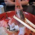 Japan 2011 4e.jpg