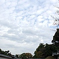 Kansai 3e.jpg