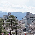 Japan 2012 2h.jpg