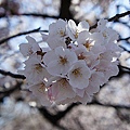 Japan 2012 3a.jpg