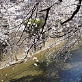 Japan 2012 3b.jpg