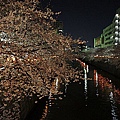 Japan 2012 3q.jpg