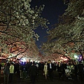 Japan 2012 4j.jpg