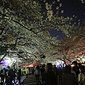 Japan 2012 4k.jpg