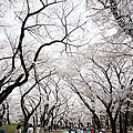 Japan 2012 5a.jpg