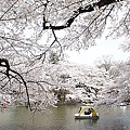 Japan 2012 5b.jpg