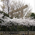 Japan 2012 5f.jpg