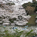 Japan 2012 5h.jpg