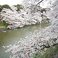 Japan 2012 5i.jpg