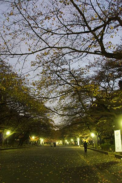 11.30 Ueno park 3b.jpg