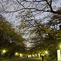 11.30 Ueno park 3b.jpg