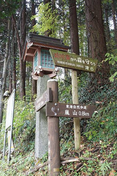 12.2 Arashiyama 1b.jpg