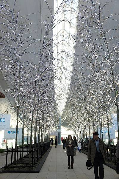 12.9 Haneda airport 2b.jpg