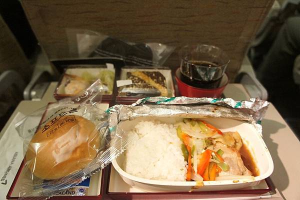 8.21 plane dinnerb.jpg