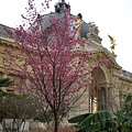 2.18 Paris - Petit Palais 90a.jpg