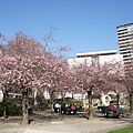 3.10 Paris - Square des Saint Simoniens 4a.jpg