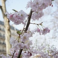 3.14 Paris - Place Pierre Lafue 9a.jpg