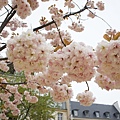 3.31 Paris - Jardin Anne Frank 5a.jpg