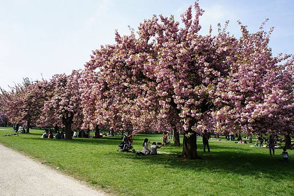 4.12 Parc de Sceaux 1a.jpg