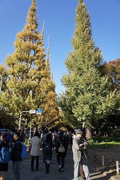 12.1 Mejijingu gaien 7a.jpg