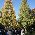 12.1 Mejijingu gaien 7a.jpg