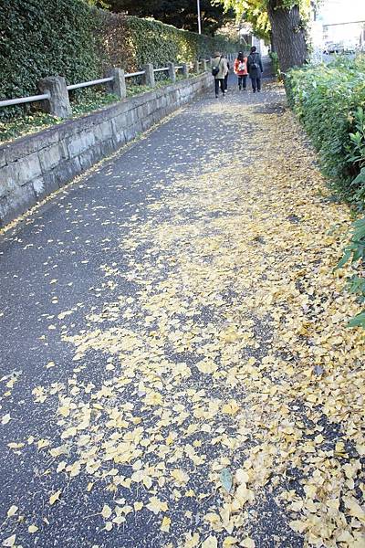 12.1 Mejijingu gaien 28a.jpg