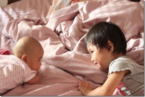 IMG_0136 IMG_0136