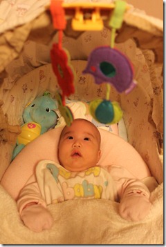 IMG_0295 IMG_0295