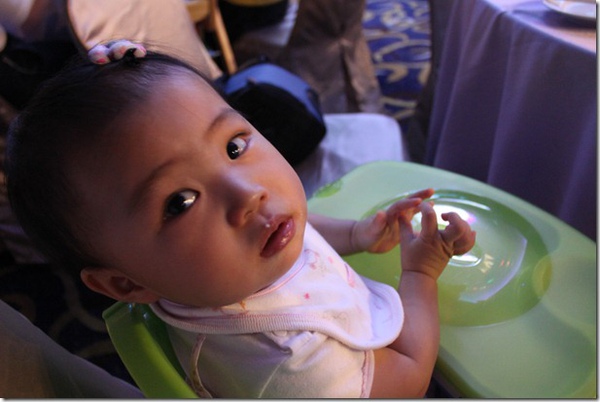 IMG_8071 IMG_8071