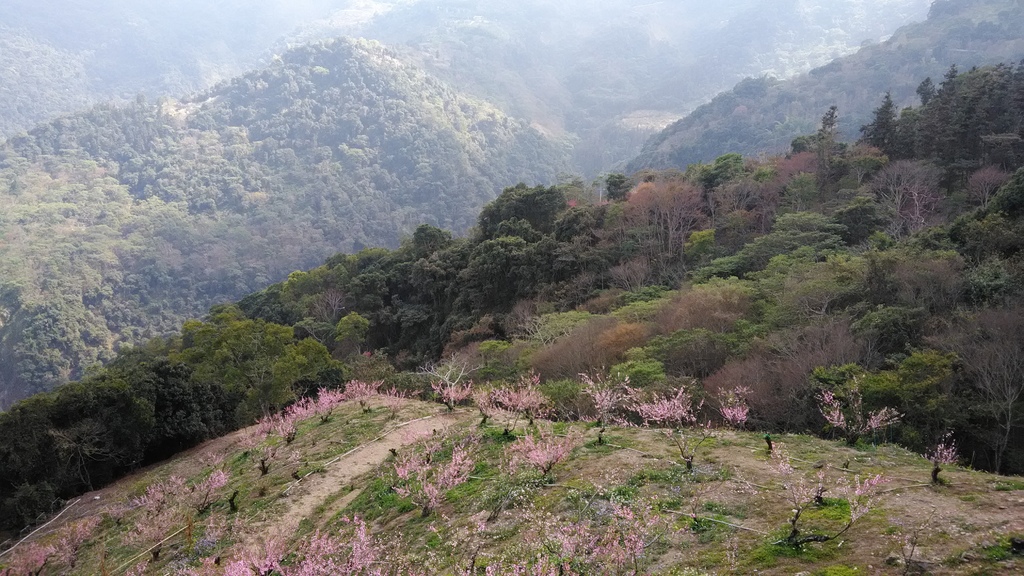 /tmp/phpR3JpXC /tmp/phpR3JpXC