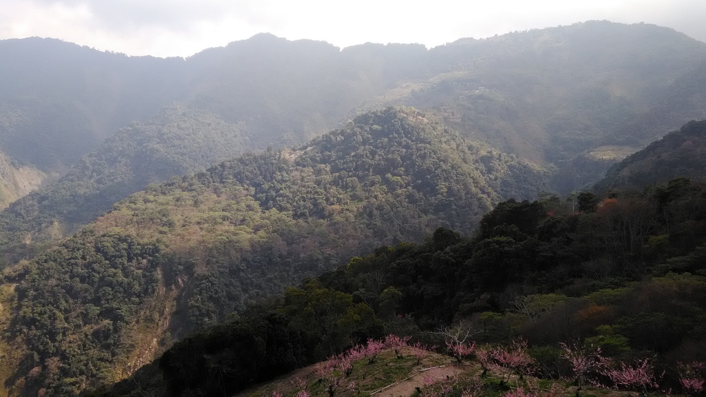 /tmp/phpyJmL8h /tmp/phpyJmL8h