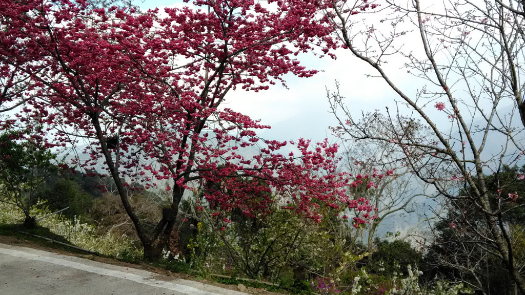 /tmp/php3egyzf /tmp/php3egyzf