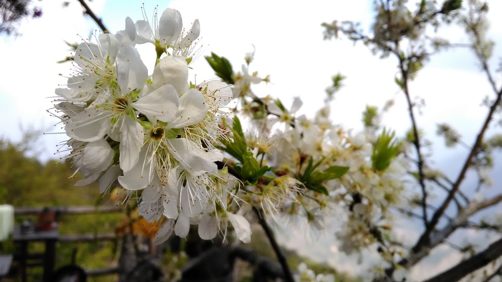 /tmp/php8jsL3q /tmp/php8jsL3q