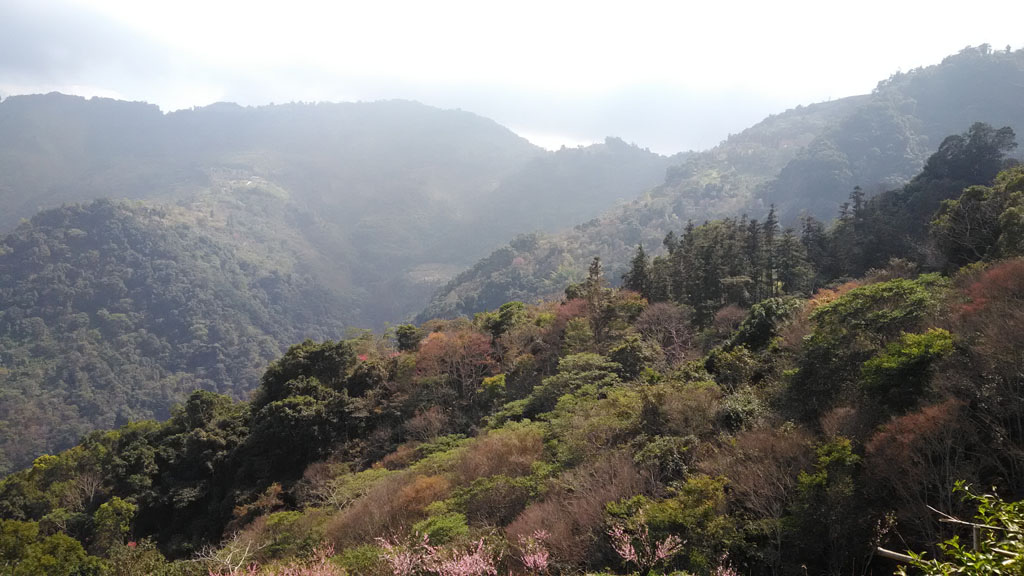 /tmp/phpUBQY3G /tmp/phpUBQY3G