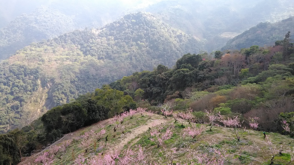 /tmp/phpJGSUpp /tmp/phpJGSUpp