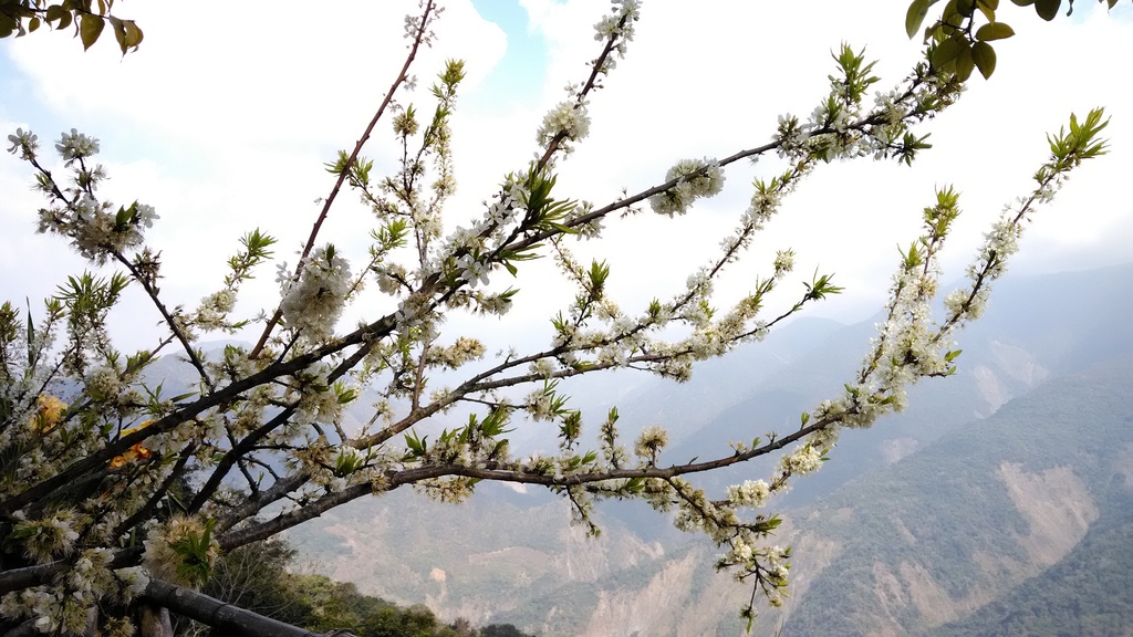 /tmp/phphpFuyC /tmp/phphpFuyC