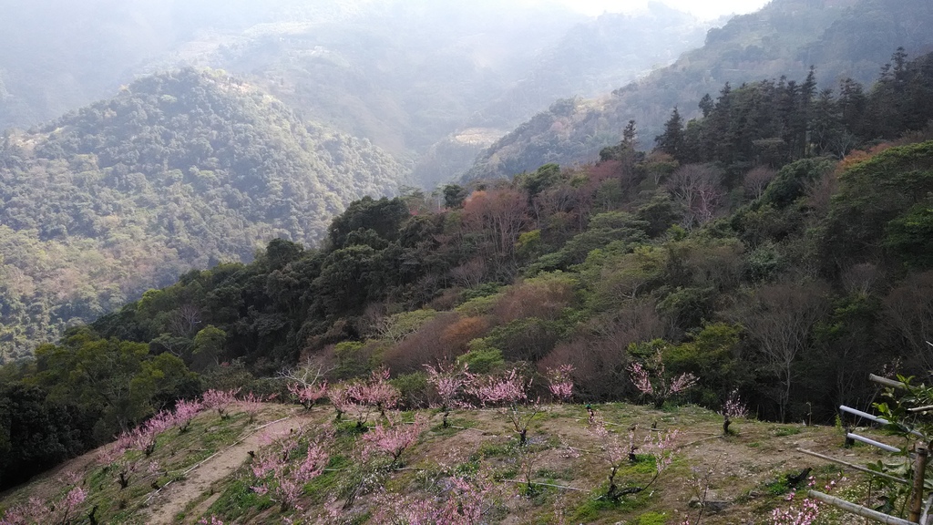 /tmp/php4p1Xxf /tmp/php4p1Xxf