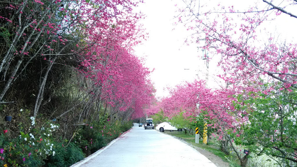 /tmp/phpr3yS8X /tmp/phpr3yS8X