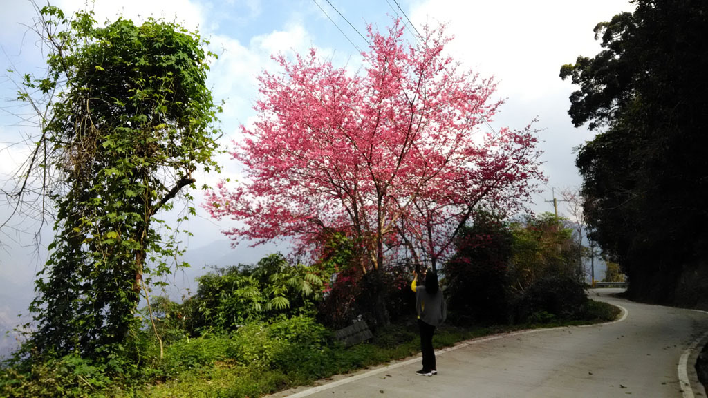 /tmp/phpPVHx2D /tmp/phpPVHx2D