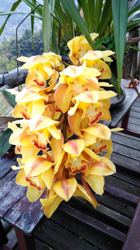 /tmp/phpVC5eYi /tmp/phpVC5eYi