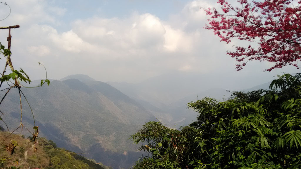 /tmp/phpxCelFI /tmp/phpxCelFI