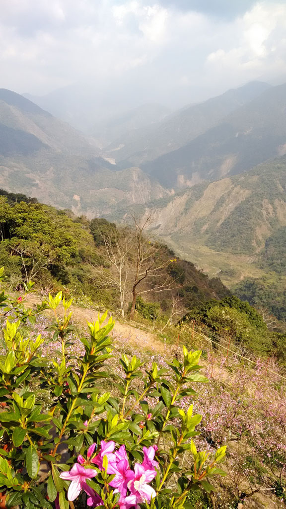 /tmp/phpdV4nRS /tmp/phpdV4nRS