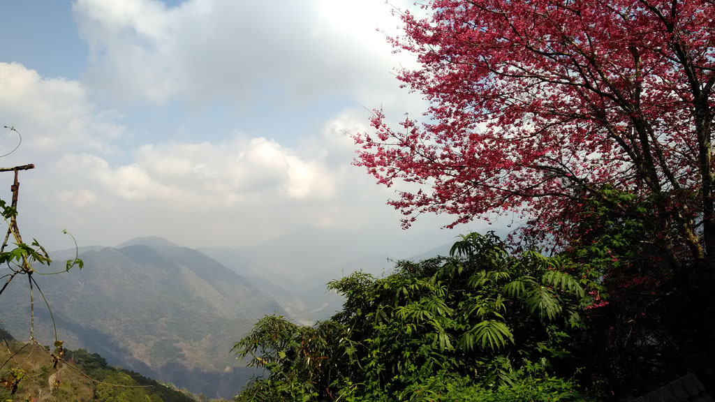 /tmp/php76VAt1 /tmp/php76VAt1