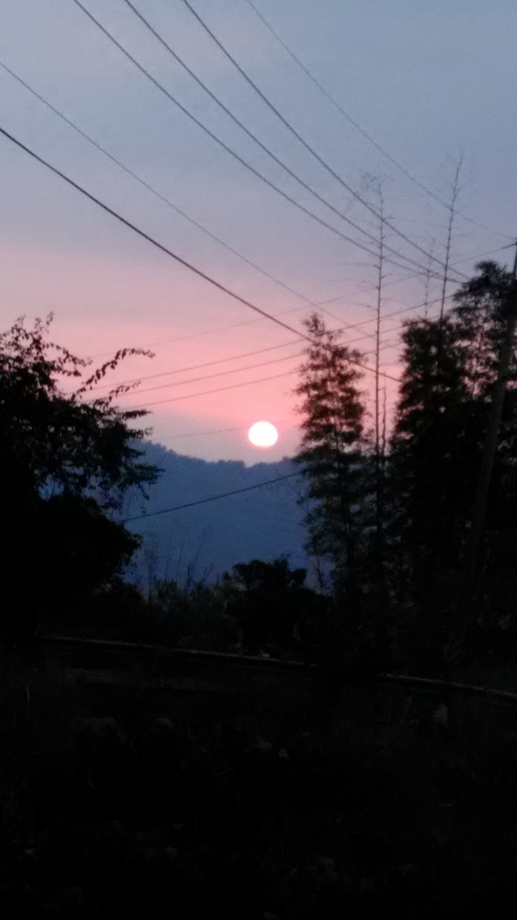 /tmp/phpzSf69n /tmp/phpzSf69n