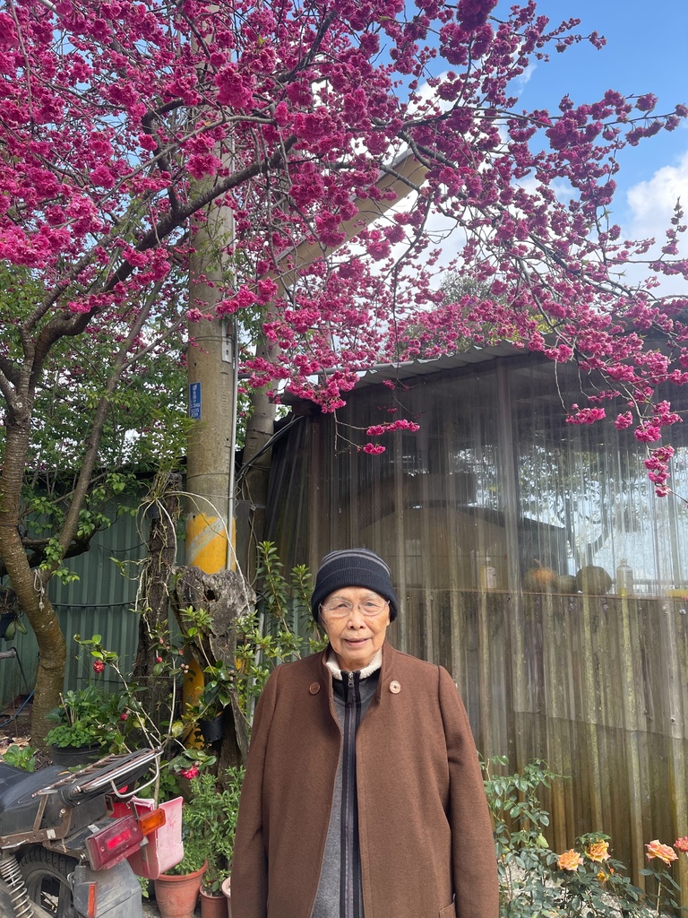 /tmp/php0z9Dv1 /tmp/php0z9Dv1