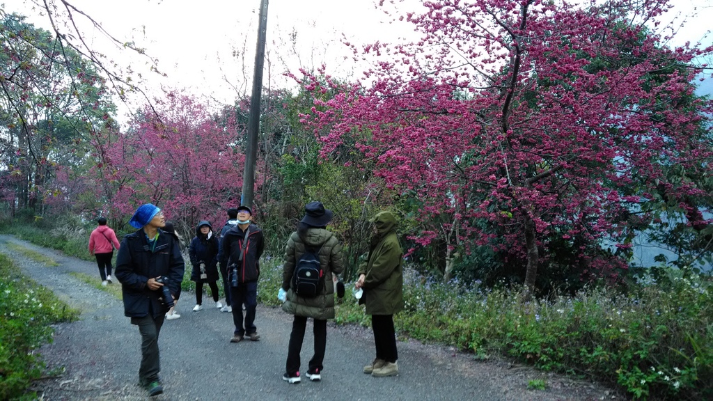 /tmp/phpybk8cv /tmp/phpybk8cv