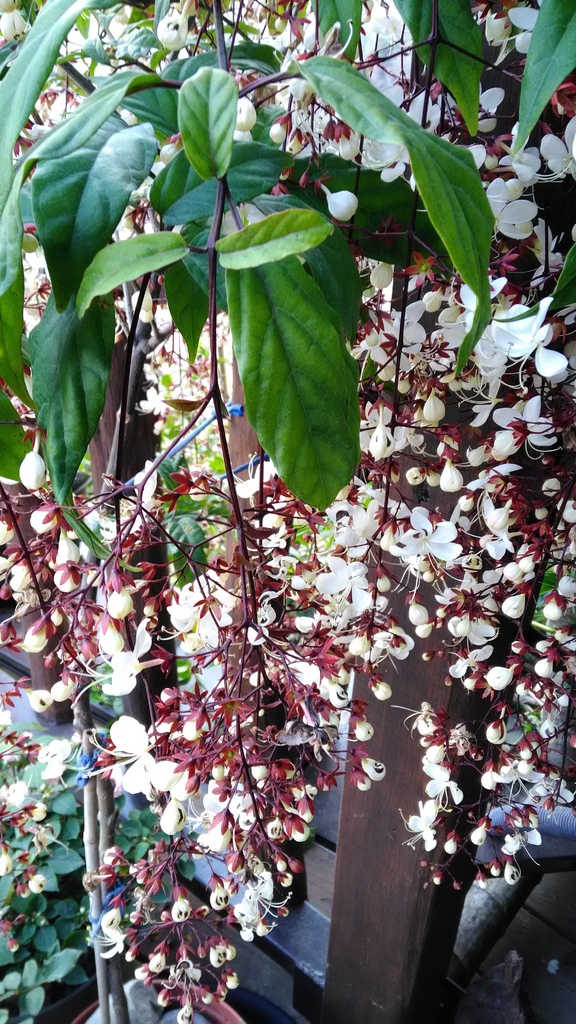 /tmp/phpDiWmGN /tmp/phpDiWmGN