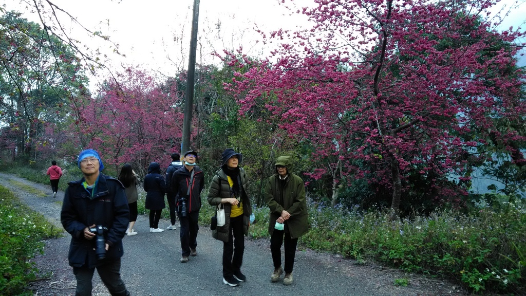 /tmp/phpEvu28t /tmp/phpEvu28t