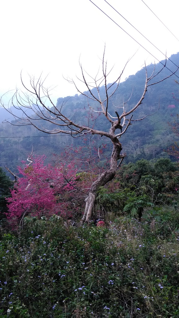 /tmp/phpkixq6B /tmp/phpkixq6B